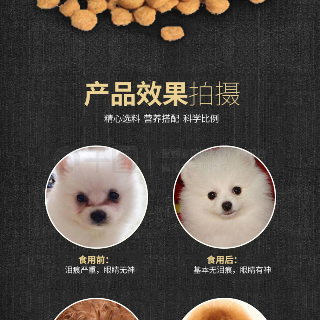 中大形宠物食品狗粮猫粮宠物详情页