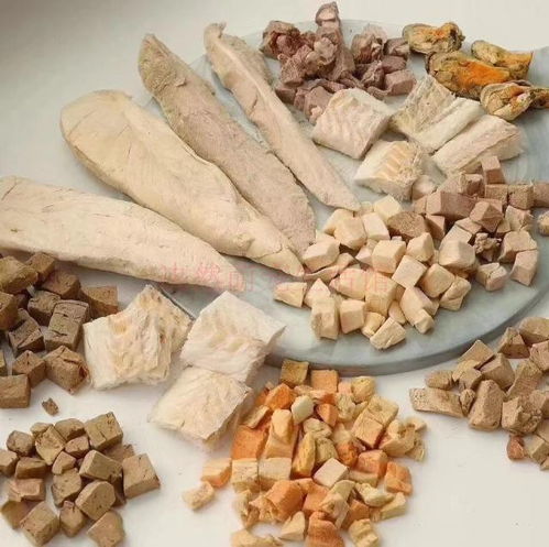 宠物冻干机设备 宠物冻干肉怎么自制