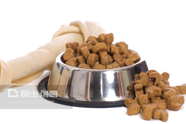 宠物食品Pet Food