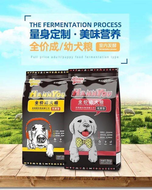 比起远在他乡的你我他,身边的狗子更温暖 外婆