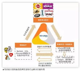 宠物食品 上市 并购 电商加持,国内品牌胜算何在
